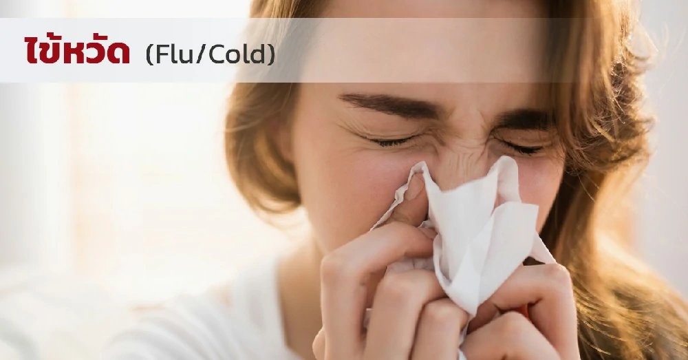ไข้หวัด (Flu/Cold) คืออะไร? สาเหตุ อาการ และการติดต่อ