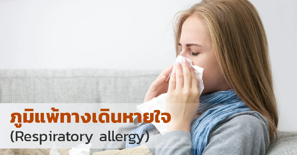 ภูมิแพ้ทางเดินหายใจ (Respiratory Allergy) คืออะไร? อาการและชนิดที่พบได้บ่อย