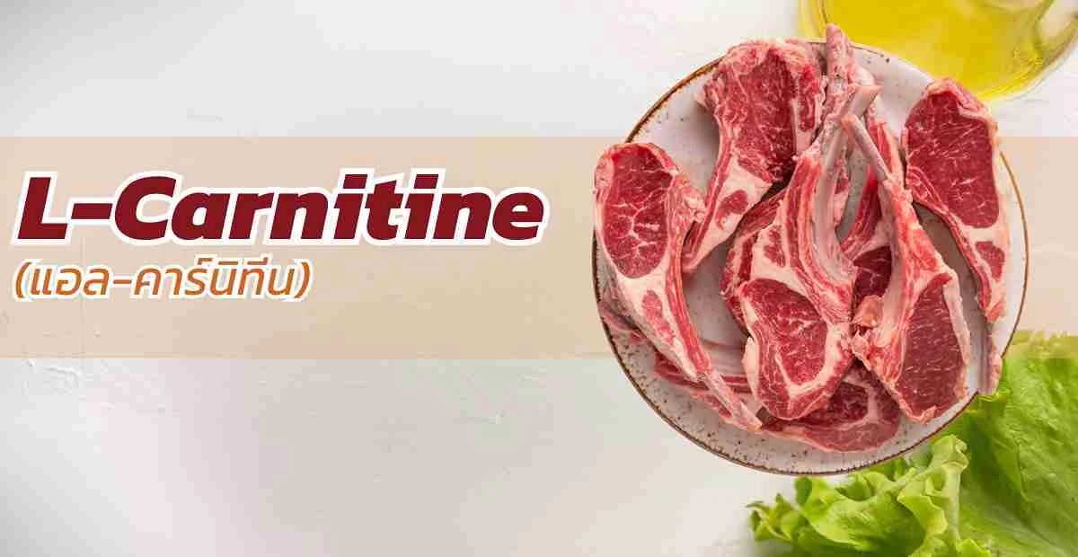 l carnitine คือ อะไร แอล-คาร์นิทีน (L-Carnitine) คืออะไร? ประโยชน์ต่อการเผาผลาญไ…