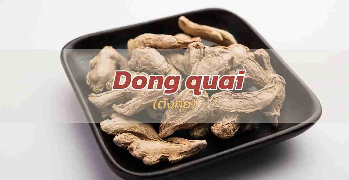ตังกุย (Dong Quai) คืออะไร? สมุนไพรบำรุงเลือดและสุขภาพสตรี