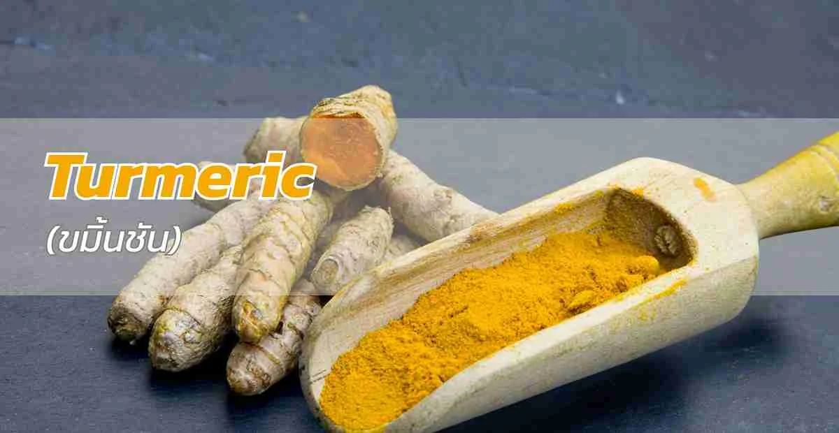 ขมิ้นชัน (Turmeric) สมุนไพรไทย อุดมสารเคอร์คูมินและคุณค่าทางสุขภาพจากธรรมชาติ