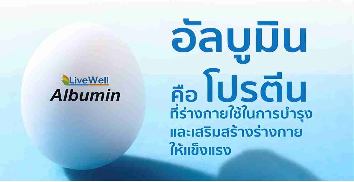 โปรตีนอัลบูมิน คืออะไร และเกี่ยวข้องกับโภชนาการอย่างไร