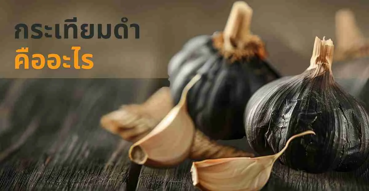 B-GARLIC กระเทียมดำคืออะไร ทำไมสายสุขภาพถึงให้ความสนใจมากขึ้นเรื่อย ๆ